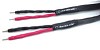 Silver Circle Audio - DreamCatcher 8 Foot Loudspeaker Cable/ pair -  Speaker Cables