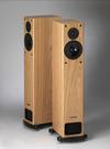 Professional Monitor Company - FB-1i+ Floor Standing Speakers -  Speakers