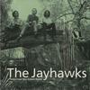 The Jayhawks - Tomorrow The Green Grass -  Preowned Vinyl Record