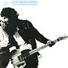 Bruce Springsteen - Born To Run -  Preowned Vinyl Record
