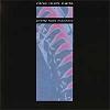 Nine Inch Nails (NIN) - Pretty Hate Machine -  Vinyl Record