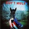 Gov't Mule - Gov't Mule -  Vinyl LP with Damaged Cover 