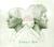 The Swell Season - Strict Joy