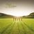 Blue Rodeo - The Things We Left Behind