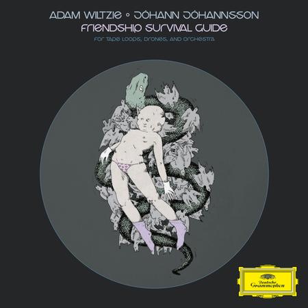 Adam Wiltzie, Johann Johannsson - Friendship Survival Guide