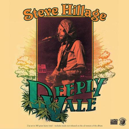 Steve Hillage - Live At Deeply Vale