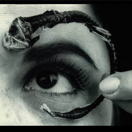 Mr. Bungle - Disco Volante