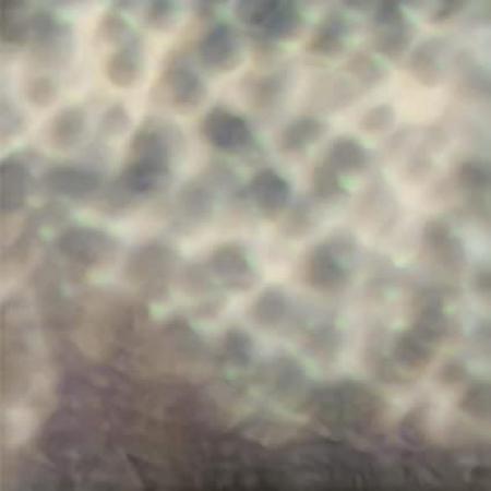 Carlos Cipa - Ourselves As We Are