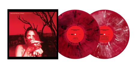 Widespread Panic - Everyday