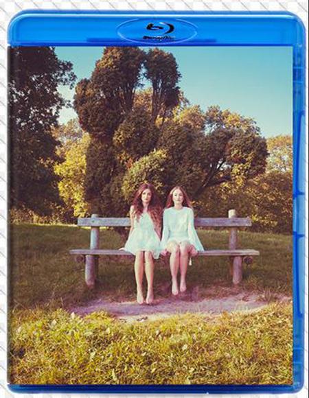 Steven Wilson - 4 1/2