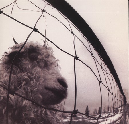 Pearl Jam - Pearl Jam