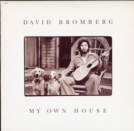 David Bromberg - My Own House