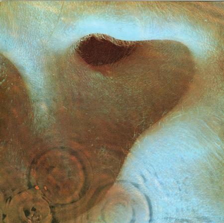 Pink Floyd - Meddle