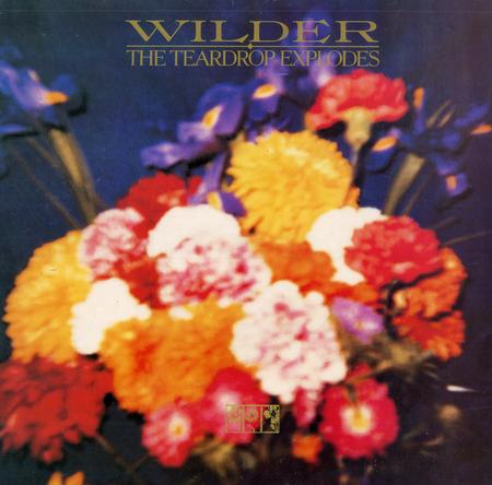 The Teardrop Explodes - Wilder