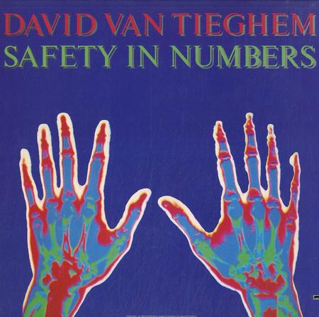 David Van Tieghem - Safety In Numbers