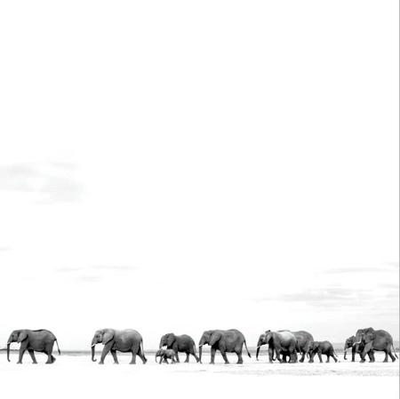 Dave Matthews Band - Where Are You Going: The Singles