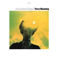 Terry Manning - Home Sweet Home -  180 Gram Vinyl Record