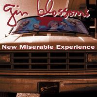 Gin Blossoms - New Miserable Experience -  Vinyl Record
