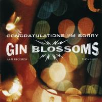 Gin Blossoms - Congratulations I'm Sorry -  Vinyl Record
