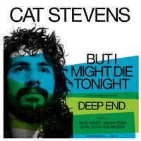 Cat Stevens - But I Might Die Tonight -  7 inch Vinyl