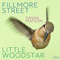 Sasha Matson - Fillmore Street/Little Woodstar