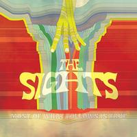 The Sights - Most Of What Follows Is True -  Vinyl Record