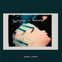 Daniel Lanois - Flesh And Machine