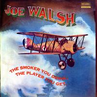 The Smoker You Drink, The Player You Get / Joe Walsh 
