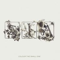 Sia - Colour The Small One -  Vinyl Record