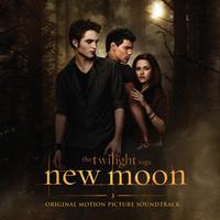Various Artists - The Twilight Saga: New Moon