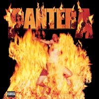 Pantera - Reinventing The Steel -  Vinyl Record