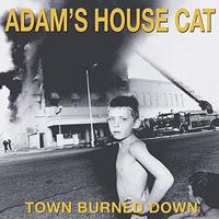 Adam's House Cat - Town Burned Down