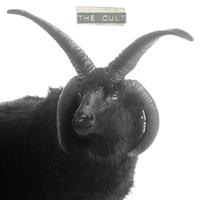 The Cult - The Cult -  Vinyl Record