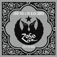Jimmy Page & The Black Crowes - Live At The Greek -  180 Gram Vinyl Record