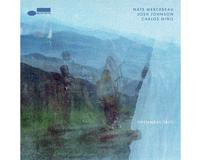 Nate Mercereau/Josh Johnson/Carlos Nino - Openness Trio -  180 Gram Vinyl Record