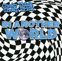 Cheap Trick - In Another World -  Vinyl Record