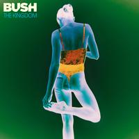 Bush - The Kingdom