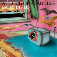 A Flock Of Seagulls - Rare Birds - 'A Flock Of Seagulls' B-Sides, Edits and Alternate Mixes