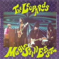 The Leopards - Magic Still Exists -  Vinyl Record