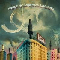 Various Artists - While No One Was Looking: Toasting 20 Yrs Of Bloodshot Records -  Vinyl Record