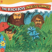 The Beach Boys - Endless Summer -  180 Gram Vinyl Record