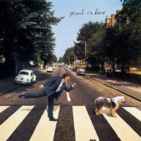 Paul McCartney - Paul Is Live -  180 Gram Vinyl Record
