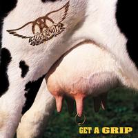 Aerosmith - Get A Grip -  Vinyl Record