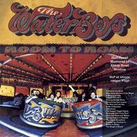 The Waterboys - Room To Roam -  45 RPM Vinyl Record