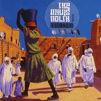 The Mars Volta - The Bedlam in Goliath -  Vinyl Record