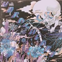 The Shins - The Worm's Heart -  Vinyl Record