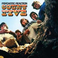 Count Five - Psychotic Reaction -  180 Gram Vinyl Record