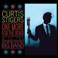 Curtis Stigers - One More For The Road -  Vinyl Record