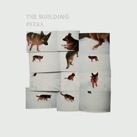 The Building - Petra -  Vinyl Record