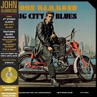 John Hammond - Big City Blues